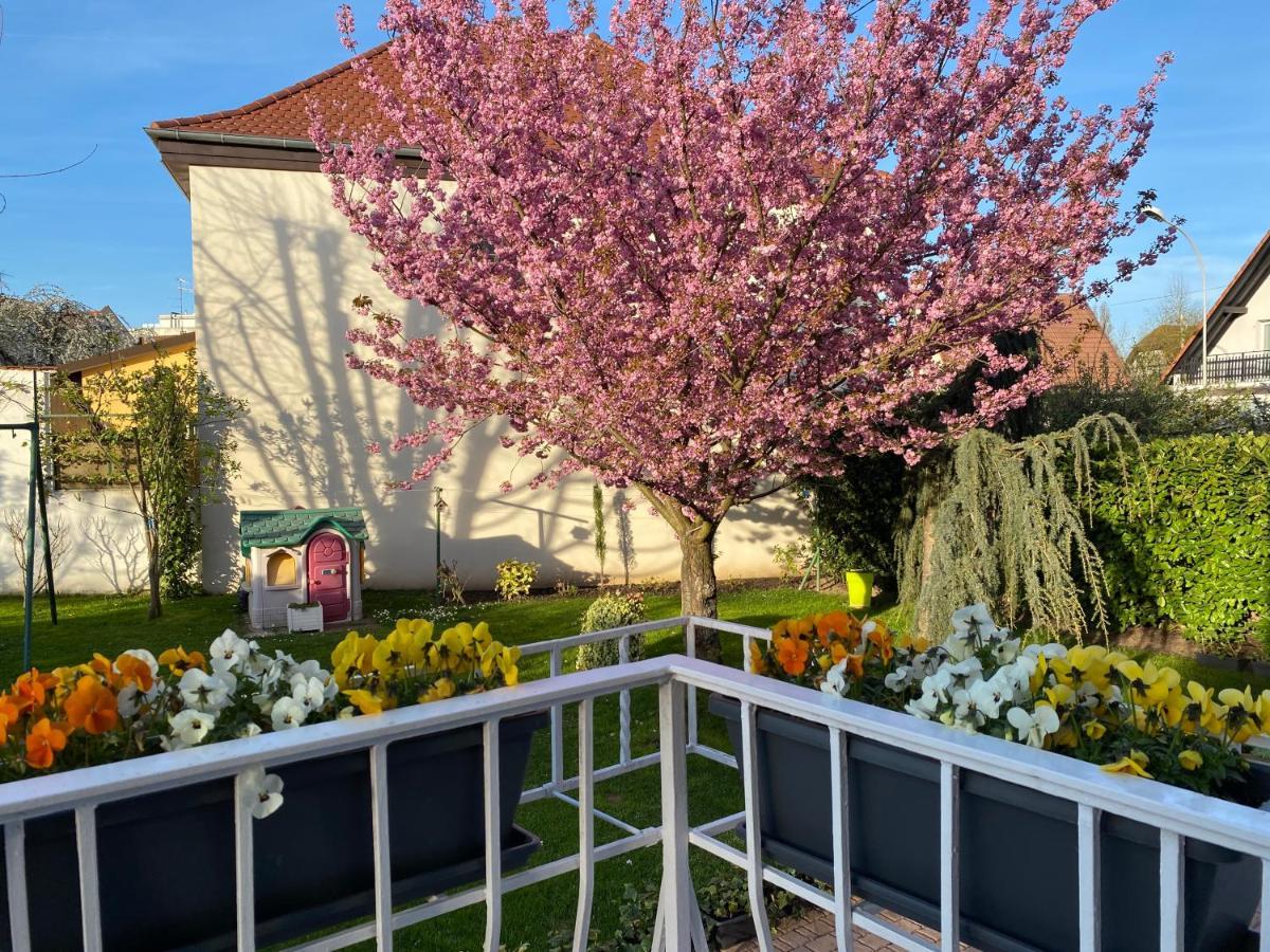 Appartement Le Jardin Lingolsheim Eksteriør billede