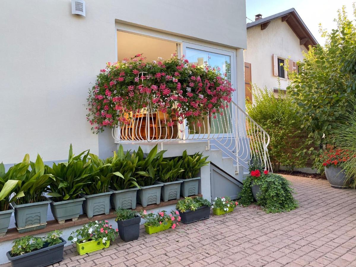Appartement Le Jardin Lingolsheim Eksteriør billede