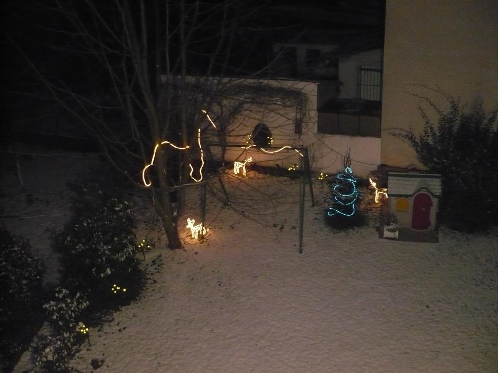 Appartement Le Jardin Lingolsheim Værelse billede