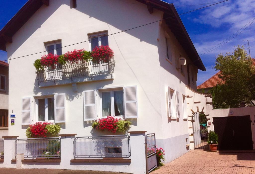 Appartement Le Jardin Lingolsheim Værelse billede