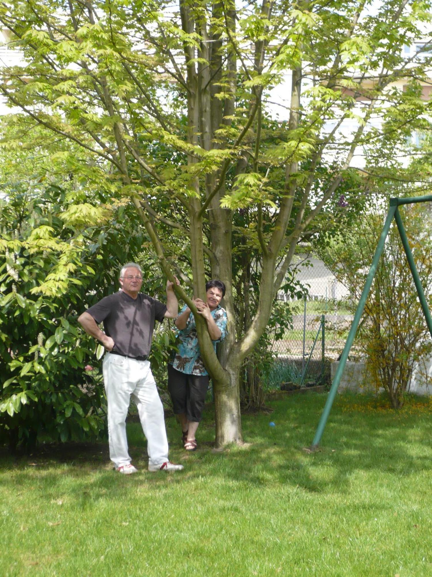 Appartement Le Jardin Lingolsheim Eksteriør billede