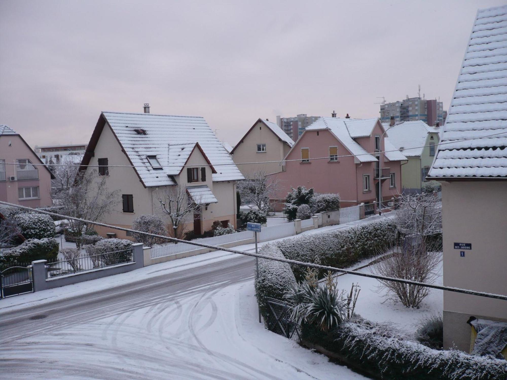 Appartement Le Jardin Lingolsheim Eksteriør billede